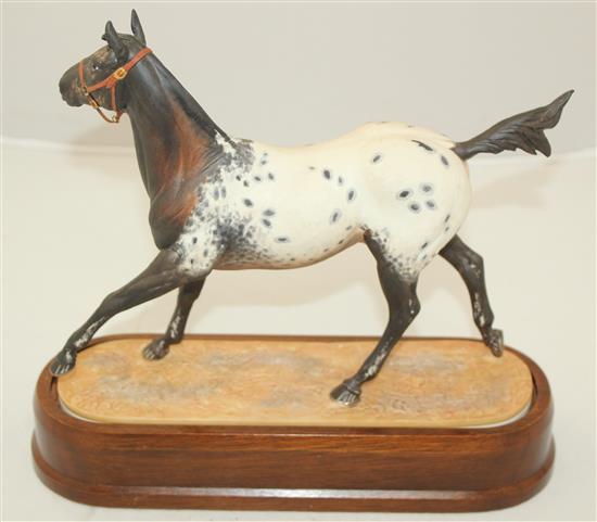 A Royal Worcester model of an Appaloosa Stallion, modelled by Doris Lindner, c.1969, 26cm